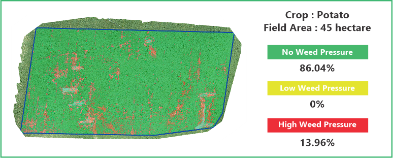 Weed Detection